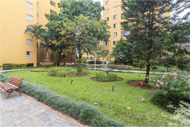Imagem Apartamento com 3 Quartos à Venda, 64 m² em Vila Sônia - São Paulo