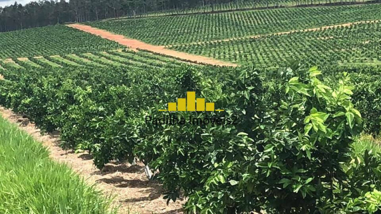Imagem Fazenda à Venda, 350 m² em Residencial Vale Verde - Marília Imagem Fazenda à Venda, 350 m² em Residencial Vale Verde - Marília