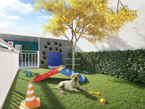 Imagem Apartamento com 1 Quarto à Venda, 35 m² em Campos Elíseos - São Paulo Imagem Apartamento com 1 Quarto à Venda, 35 m² em Campos Elíseos - São Paulo