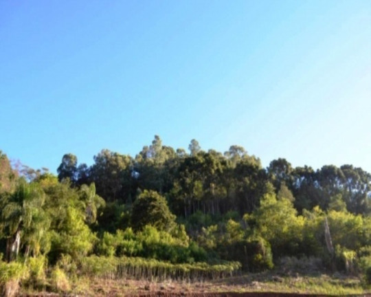 Imagem Terreno à Venda, 6 m² em Linha Imperial - Nova Petrópolis Imagem Terreno à Venda, 6 m² em Linha Imperial - Nova Petrópolis