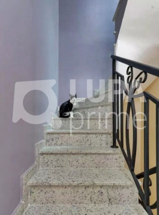 Imagem Casa com 3 Quartos à Venda, 108 m² em Vila Constança - São Paulo Imagem Casa com 3 Quartos à Venda, 108 m² em Vila Constança - São Paulo