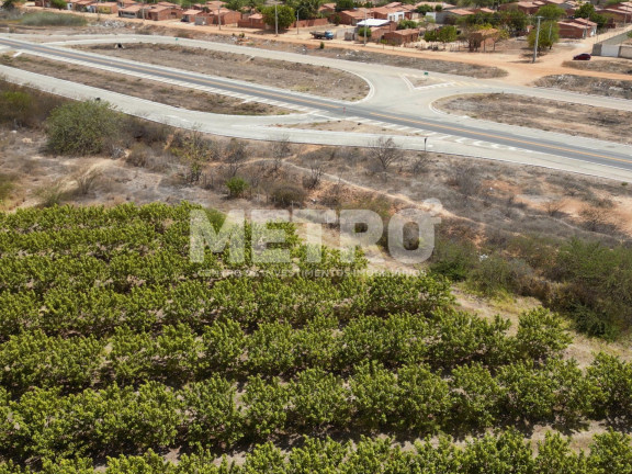 Imagem Fazenda à Venda, em área Rual - Petrolina Imagem Fazenda à Venda, em área Rual - Petrolina