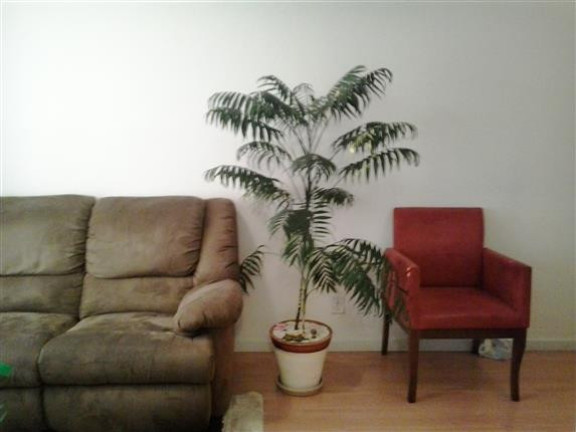 Imagem Apartamento com 2 Quartos à Venda, 50 m² em Parque Erasmo Assunção - Santo André Imagem Apartamento com 2 Quartos à Venda, 50 m² em Parque Erasmo Assunção - Santo André