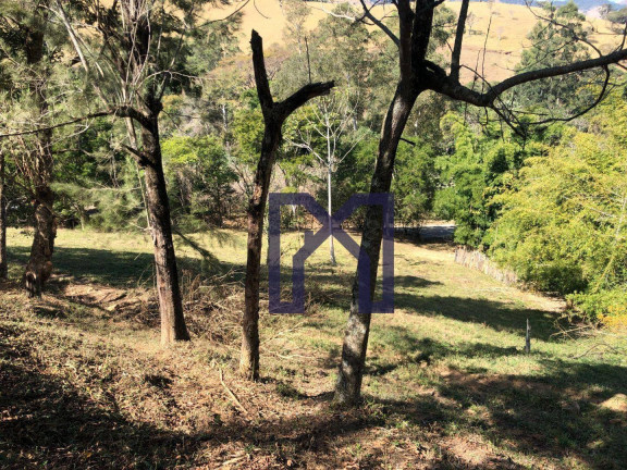 Imagem Fazenda à Venda, 417.500 m² em área Rural De Itajubá - Itajubá Imagem Fazenda à Venda, 417.500 m² em área Rural De Itajubá - Itajubá