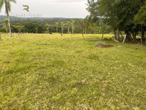 Imagem Chácara com 2 Quartos à Venda, 32.000 m² em Fazenda Fialho - Taquara