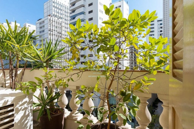 Imagem Apartamento com 3 Quartos à Venda, 220 m² em Higienópolis - São Paulo Imagem Apartamento com 3 Quartos à Venda, 220 m² em Higienópolis - São Paulo