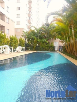 Imagem Apartamento com 2 Quartos à Venda, 50 m² em Vila Roque - São Paulo