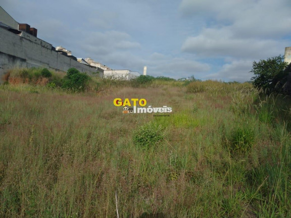 Imagem Terreno à Venda, 2.920 m² em São Luiz (polvilho) - Cajamar