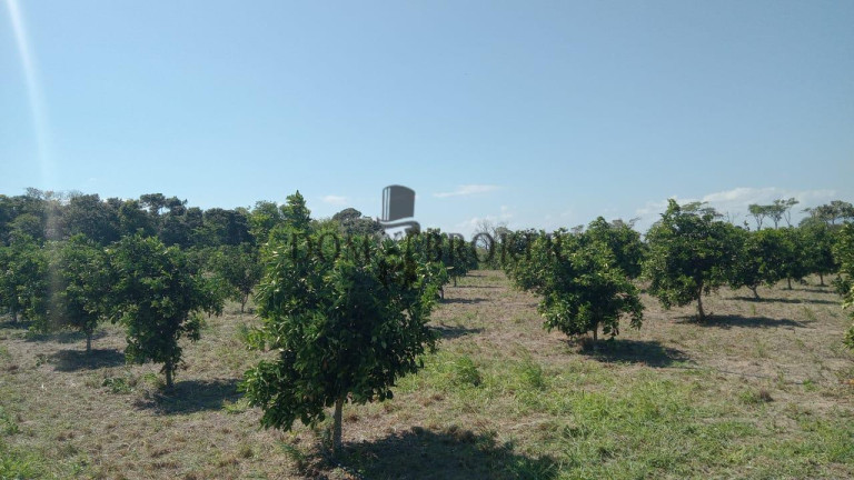 Imagem Fazenda à Venda, 555.000 m² em Sao Vicente - Araruama Imagem Fazenda à Venda, 555.000 m² em Sao Vicente - Araruama