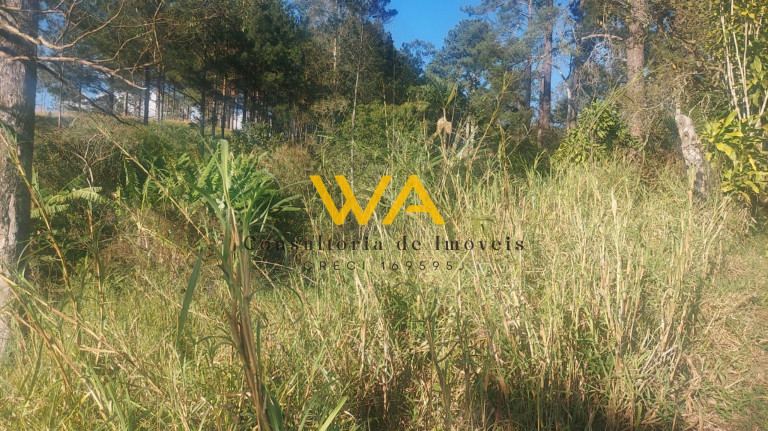 Imagem Terreno à Venda, 5.300 m² em Vila Nova Aparecida - Mogi Das Cruzes