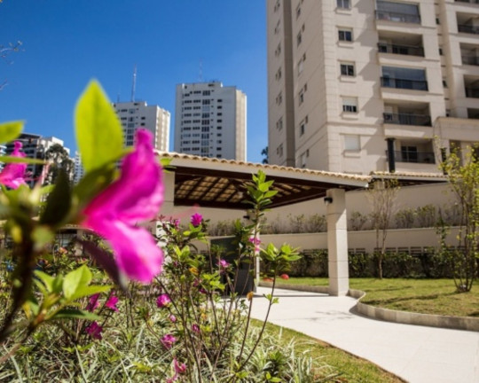 Imagem Imóvel com 2 Quartos à Venda, 65 m² em Vila Suzana - São Paulo