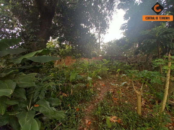 Imagem Terreno à Venda, 3.409 m² em Jardim Das Margaridas - Salvador Imagem Terreno à Venda, 3.409 m² em Jardim Das Margaridas - Salvador