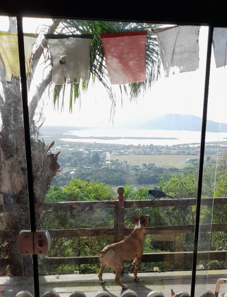 Imagem Casa com 3 Quartos à Venda, 450 m² em Encantada - Garopaba