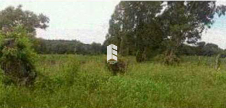 Imagem Terreno à Venda, 1.600 m² em Etelvina - Itaara