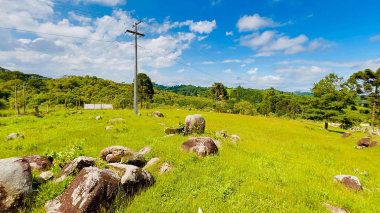 Imagem Chácara à Venda, 9.700 m² em Rio Da Várzea - Quitandinha Imagem Chácara à Venda, 9.700 m² em Rio Da Várzea - Quitandinha