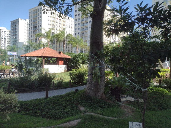 Imagem Apartamento com 2 Quartos à Venda, 55 m² em Barra Da Tijuca - Rio De Janeiro