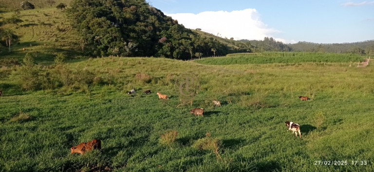 Imagem Fazenda à Venda, 1.010.000 m² em Jardim São Dimas - São José Dos Campos Imagem Fazenda à Venda, 1.010.000 m² em Jardim São Dimas - São José Dos Campos