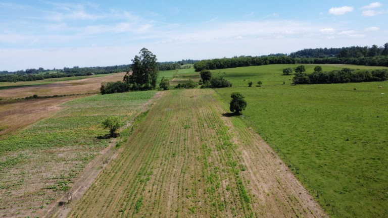 Imagem Chácara com 2 Quartos à Venda, 68.000 m² em Zona Rural - Vale Do Sol Imagem Chácara com 2 Quartos à Venda, 68.000 m² em Zona Rural - Vale Do Sol