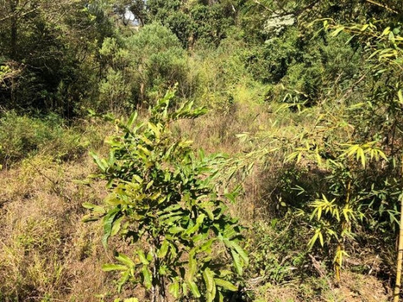 Imagem Terreno à Venda, 5.017 m² em Chácara Das Candeias - Carapicuíba Imagem Terreno à Venda, 5.017 m² em Chácara Das Candeias - Carapicuíba