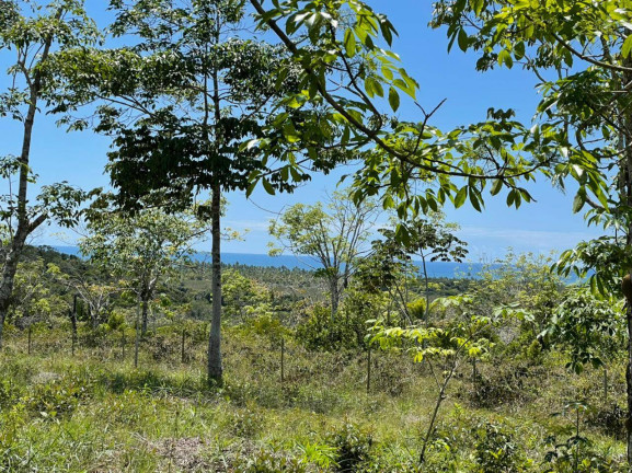 Terreno à Venda, 1.000 m² em Algodões - Marau