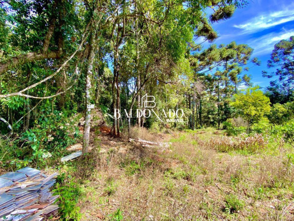 Imagem Imóvel com 2 Quartos à Venda, 12.000 m² em Centro - Munhoz Imagem Imóvel com 2 Quartos à Venda, 12.000 m² em Centro - Munhoz