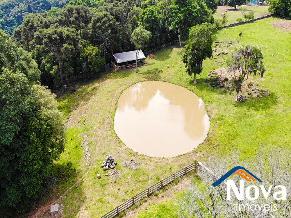 Imagem Imóvel à Venda, 50.000 m² em Linha Brasil - Nova Petrópolis