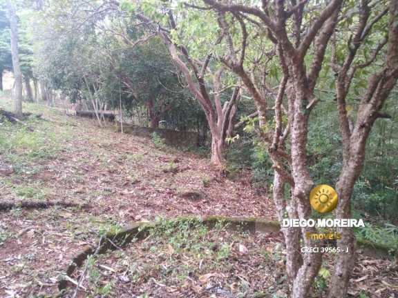 Imagem Chácara com 2 Quartos à Venda, 60 m² em Terra Preta - Mairiporã Imagem Chácara com 2 Quartos à Venda, 60 m² em Terra Preta - Mairiporã