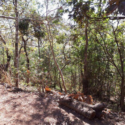 Imagem Chácara à Venda, 3.220 m² em Conjunto Alvorada - Uberlândia