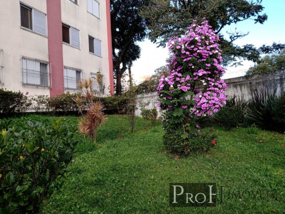 Imagem Apartamento com 3 Quartos à Venda, 90 m² em Jardim Patente - São Paulo