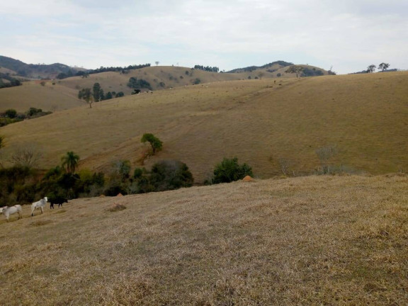 Imagem Chácara com 3 Quartos à Venda, 532 m² em Zona Rural - Cambuí