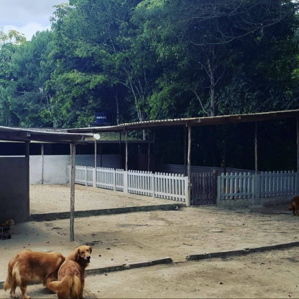 Imagem Chácara com 3 Quartos à Venda, 1 m² em Aldeia Dos Camarás - Camaragibe