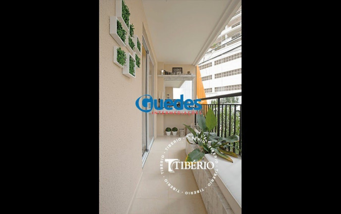 Imagem Apartamento com 2 Quartos à Venda, 49 m² em Vila Guarani (z Sul) - São Paulo Imagem Apartamento com 2 Quartos à Venda, 49 m² em Vila Guarani (z Sul) - São Paulo