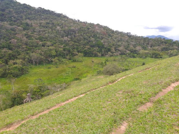 Imagem Fazenda à Venda, 9.790.000 m² em Centro - Trajano De Morais