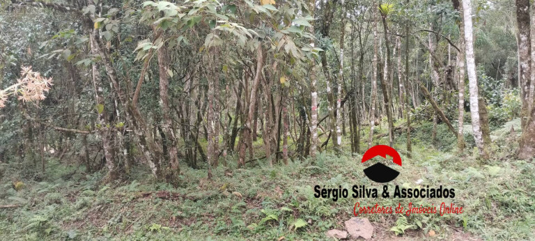 Imagem Terreno à Venda, em Campos Do Jordão Imagem Terreno à Venda, em Campos Do Jordão