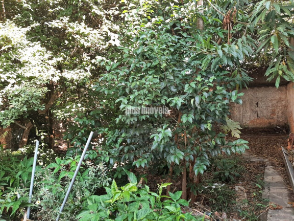 Imagem Terreno à Venda, 372 m² em Pinheiros - São Paulo Imagem Terreno à Venda, 372 m² em Pinheiros - São Paulo