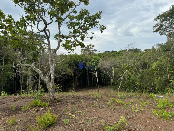 Imóvel com 1 Quarto à Venda, 3.000 m² em Zona Rural - Gameleira De Goiás
