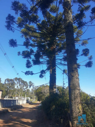 Imagem Imóvel com 2 Quartos à Venda, 100 m² em Guaragi - Ponta Grossa