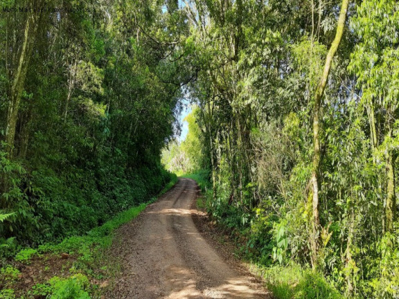 Imagem Terreno à Venda, 3 m² em São Jacó - Nova Petrópolis