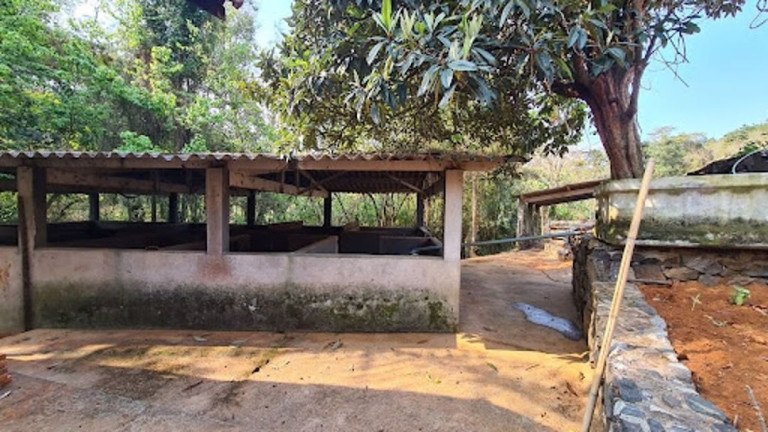 Imagem Imóvel à Venda, 11.000 m² em Tanque - Atibaia
