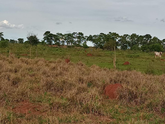Imagem Fazenda à Venda, 2.027 m² em Rural - Campo Grande Imagem Fazenda à Venda, 2.027 m² em Rural - Campo Grande