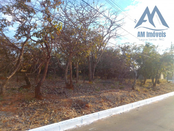 Imagem Terreno à Venda, 1 m² em Recanto Da Lagoa - Lagoa Santa Imagem Terreno à Venda, 1 m² em Recanto Da Lagoa - Lagoa Santa