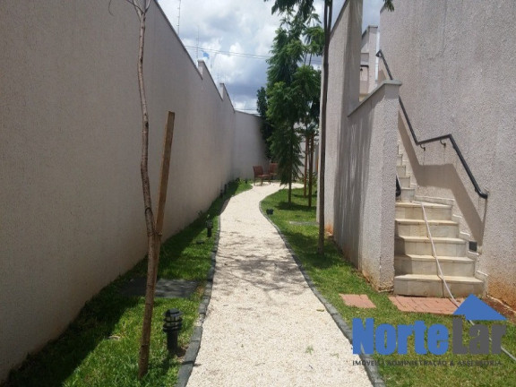 Imagem Apartamento com 3 Quartos à Venda, 67 m² em Vila Mazzei - São Paulo
