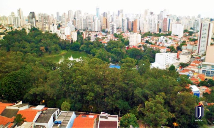 Imagem Apartamento com 3 Quartos à Venda, 290 m² em Aclimação - São Paulo