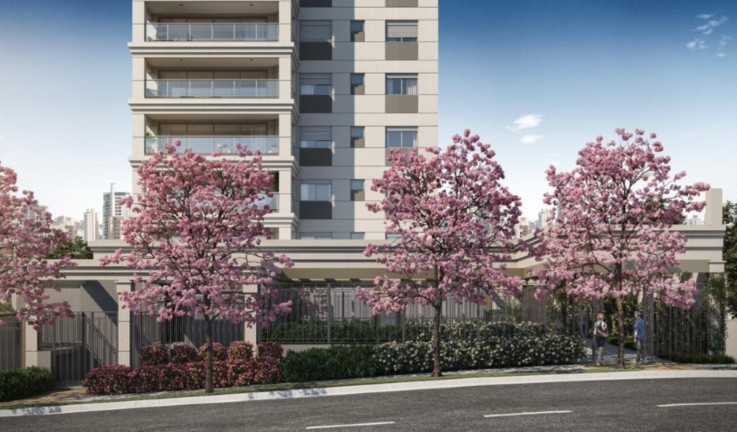Imagem Imóvel com 4 Quartos à Venda, 371 m² em Cambuí - Campinas Imagem Imóvel com 4 Quartos à Venda, 371 m² em Cambuí - Campinas