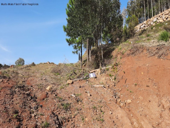 Imagem Terreno à Venda, 402 m² em Germânia - Nova Petrópolis Imagem Terreno à Venda, 402 m² em Germânia - Nova Petrópolis