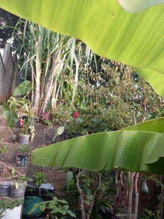 Imagem Casa com 3 Quartos à Venda, 150 m² em Jaguaré - São Paulo