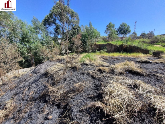 Imagem Terreno à Venda, 601 m² em Jardim Alegria - Francisco Morato Imagem Terreno à Venda, 601 m² em Jardim Alegria - Francisco Morato