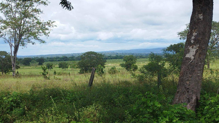 Imagem Fazenda à Venda,  em Rondonópolis