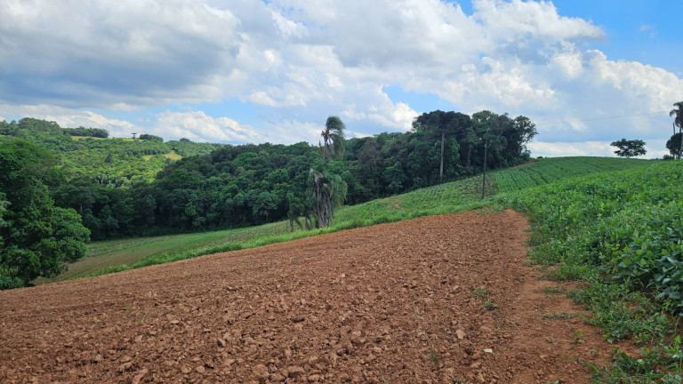 Imagem Fazenda à Venda, em Zona Rural - Araucaria Imagem Fazenda à Venda, em Zona Rural - Araucaria