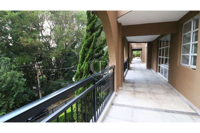 Imagem Apartamento com 4 Quartos à Venda, 239 m² em Vila Suzana - São Paulo